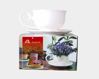 White Tea Cup Flower Pot - Terracotta Pot