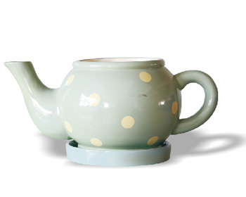 Tea Pot Planter  - Terracotta Pot