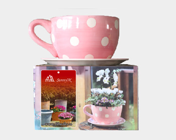 Giant Ceramic Tea Cup & Saucer  Polka Dot - Terracotta Pot
