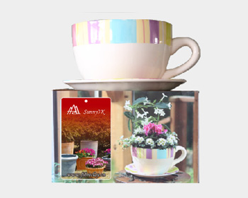 Giant Ceramic Tea Cup & Saucer Straps - Terracotta Pot