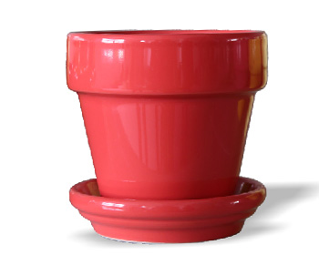 Rainbow Pot & Rainbow Saucer - Terracotta Pot