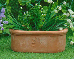 Oval Trough with thrive - Terracotta Pot